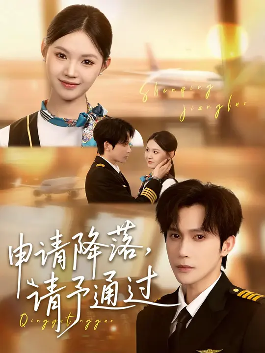 申请降落，请予通过(全集)