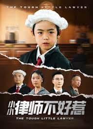 律师不好惹