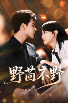 野茴不野(全集)